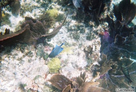 © 2013 ~ Iain & Gail Shankland  / TravelBloggers.ca@gmail.com