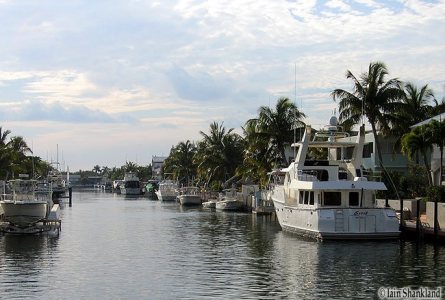 03.07.05 - Snorkel 032- I