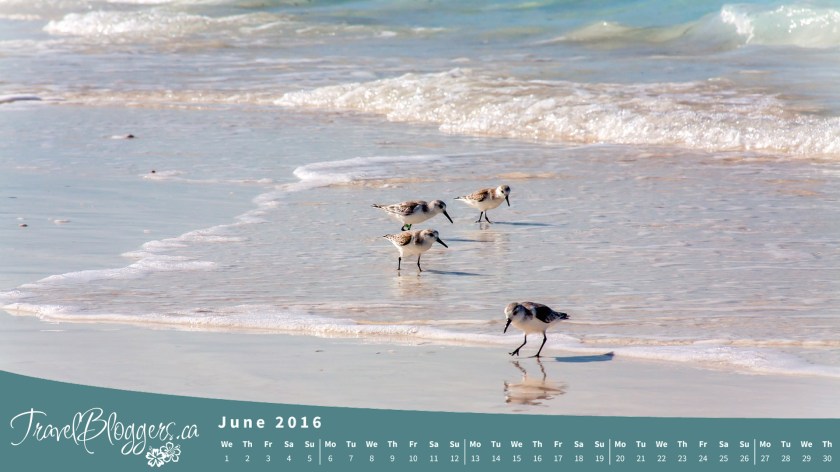 TravelBloggers.ca, Moriah Cay, Exuma, Bahamas