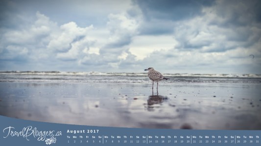 2017.08 August