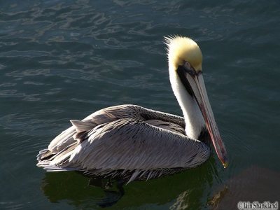 3.2.05_FLAKeys 005 -I