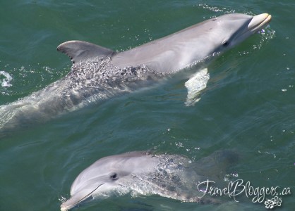 © 2013 ~ Iain & Gail Shankland  / TravelBloggers.ca@gmail.com