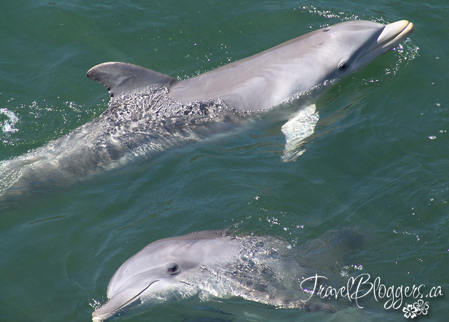 © 2013 ~ Iain & Gail Shankland / TravelBloggers.ca@gmail.com