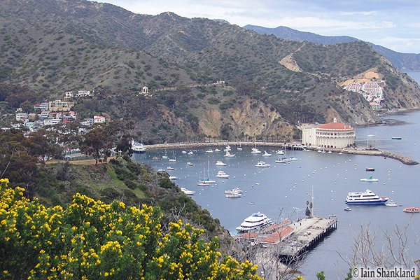 ???????????????????????????????????