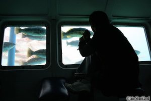 ???????????????????????????????????