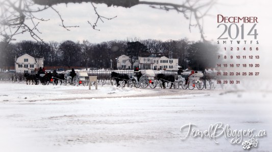 travelbloggers.ca, N