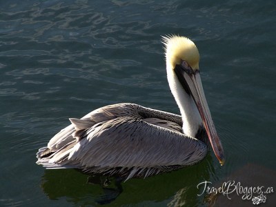 © 2013 ~ Iain & Gail Shankland  / TravelBloggers.ca@gmail.com