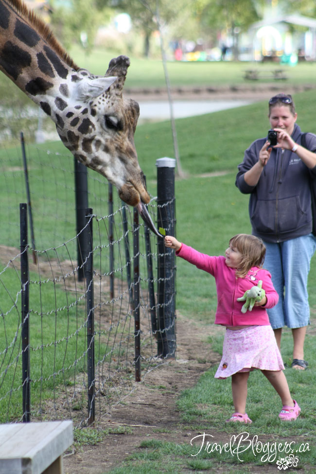 Safari Niagara, TravelBloggers.ca