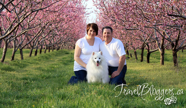 travelbloggers.ca, The Good Earth, Niagara Wine Region