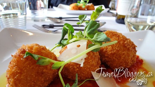 travelbloggers.ca, The Good Earth, Niagara Wine Region