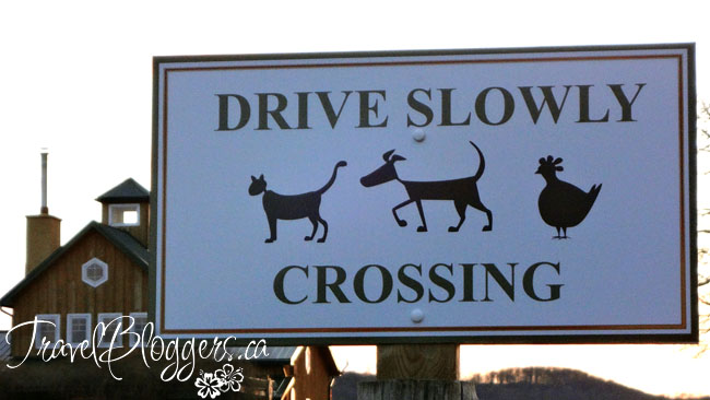 travelbloggers.ca, The Good Earth, Niagara Wine Region