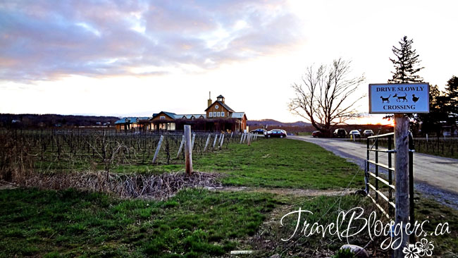 travelbloggers.ca, The Good Earth, Niagara Wine Region
