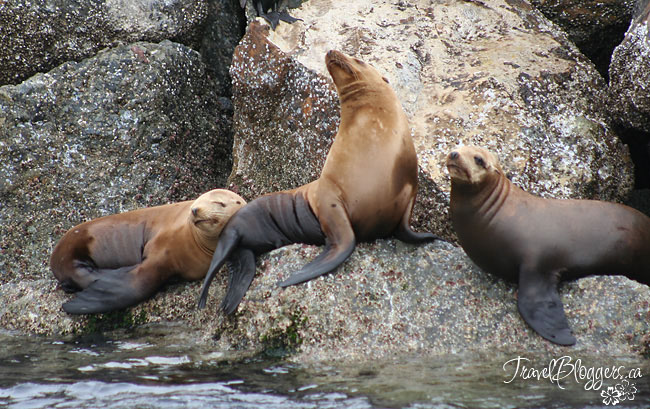 Between Los Angeles & San Francisco Is A Picture-Perfect Piece Of Paradise - The Monterey Peninsula, TravelBloggers.ca