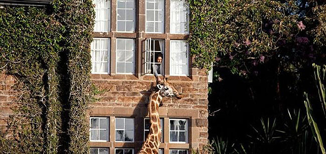 Giraffe Manor, Lang'ata Nairobi, Kenya -3