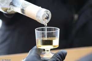 TravelBloggers.ca, Niagara Ice Wine Festival