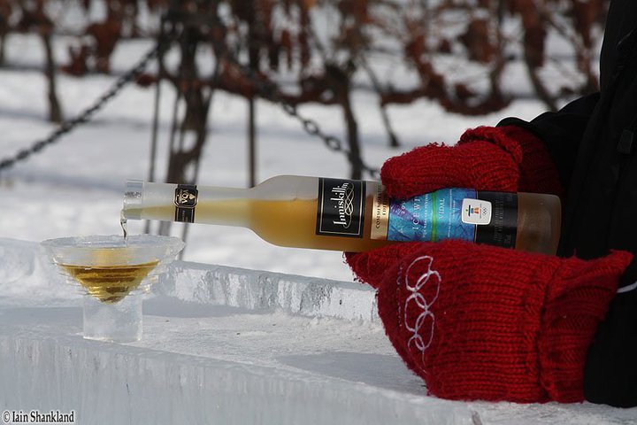 TravelBloggers.ca, Niagara Ice Wine Festival