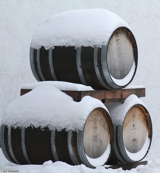 TravelBloggers.ca, Niagara Ice Wine Festival