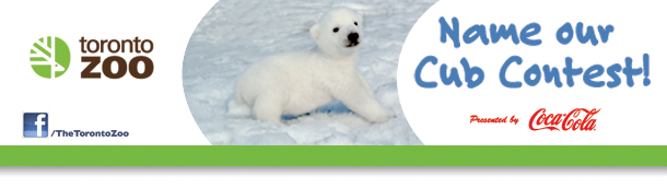 Toronto Zoo, TravelBloggers.ca