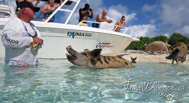 TravelBloggers.ca, Exuma Bahamas, Iain Shankland, Gail Shankland