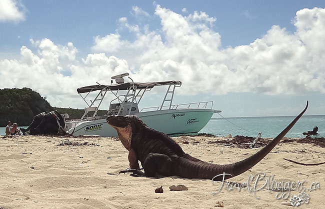 TravelBloggers.ca, Exuma Bahamas, Iain Shankland, Gail Shankland
