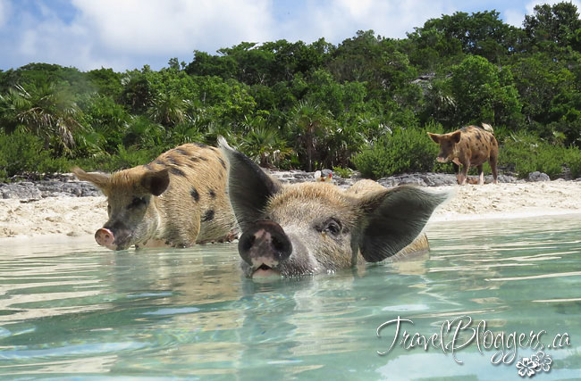 TravelBloggers.ca, Exuma Bahamas, Iain Shankland, Gail Shankland
