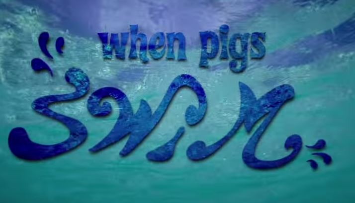 Exuma, Bahamas, Swimming Pigs, TravelBloggers.ca