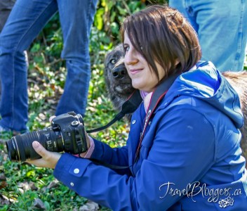 TravelBloggers.ca WolfPark.org