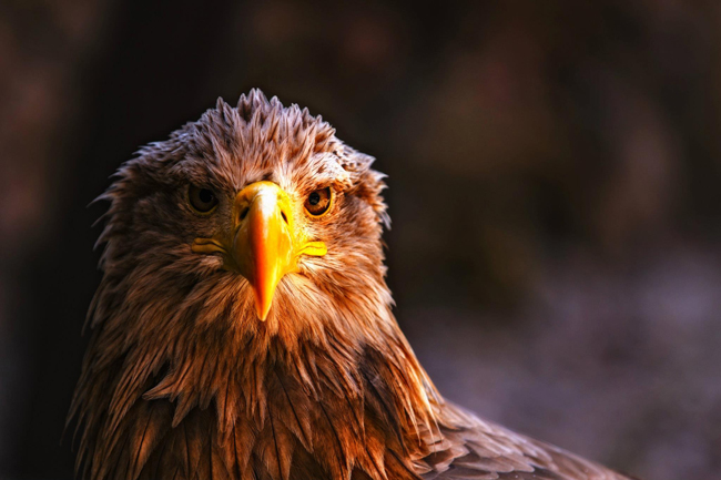 travelbloggers.ca, Johannes Brock Photography