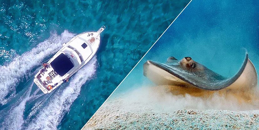 behindthemask.com, travelbloggers.ca