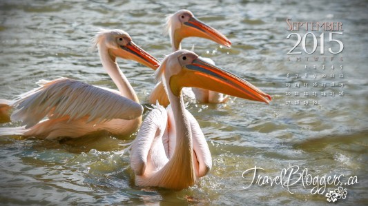 Travelbloggers.ca, Karlsrhue Zoo Germany