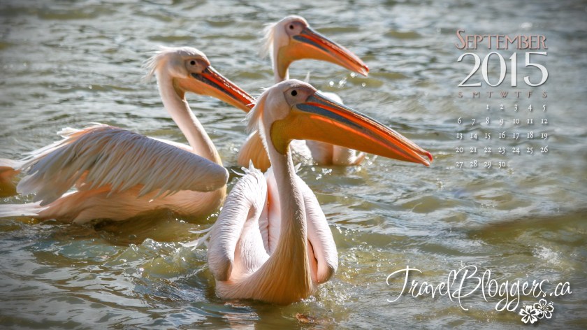 Travelbloggers.ca, Karlsrhue Zoo Germany