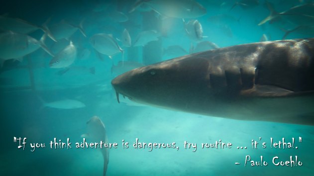 TravelBloggers.ca, Exuma Water Sports