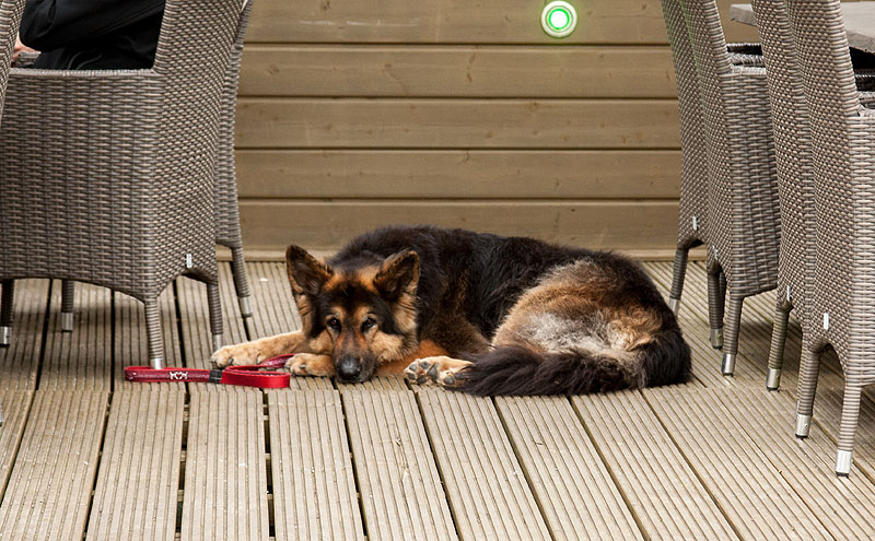 Coo - Belgium, TravelBloggers.ca