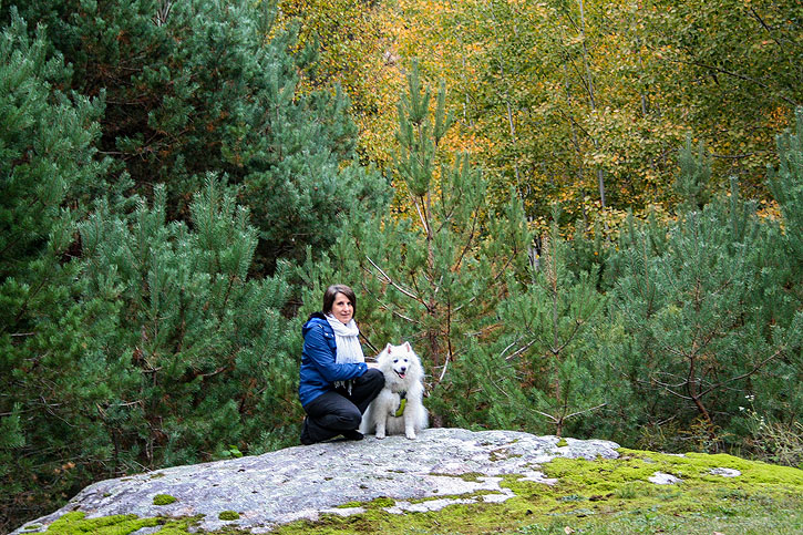 Muskoka, Ontario - Iain Shankland, www.TravelBloggers.ca