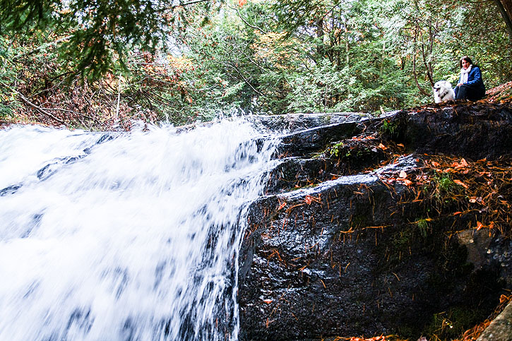 Muskoka, Ontario - Iain Shankland, www.TravelBloggers.ca