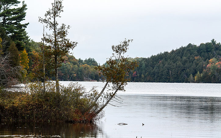 Muskoka, Ontario - Iain Shankland, www.TravelBloggers.ca