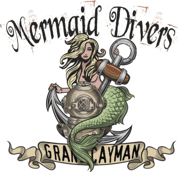 mermaid divers