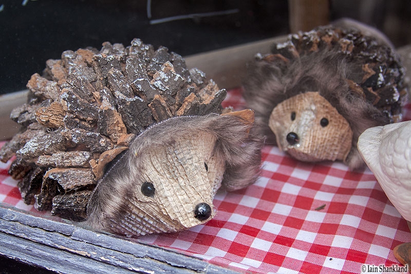 Petite-France, Strasbourg TravelBloggers.ca, Iain Shankland