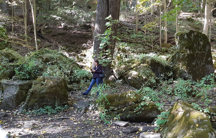 Balls Falls on Highway 8, Niagara. TravelBloggers.ca, Iain Shankland