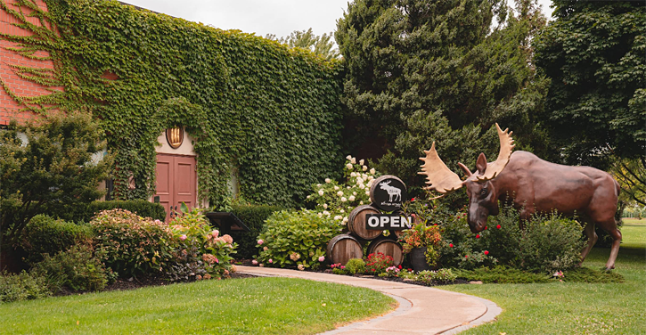 The Foreign Affair Winery, Niagara Ontario. TravelBloggers.ca, Iain Shankland