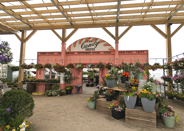 The Watering Can on Highway 8, Niagara. TravelBloggers.ca, Iain Shankland