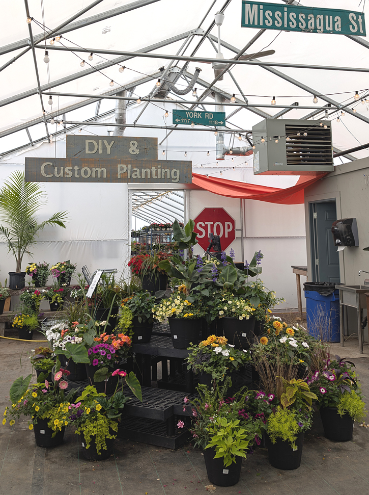 The Watering Can on Highway 8, Niagara. TravelBloggers.ca, Iain Shankland