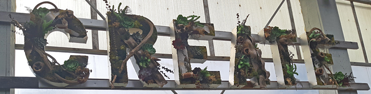 The Watering Can on Highway 8, Niagara. TravelBloggers.ca, Iain Shankland