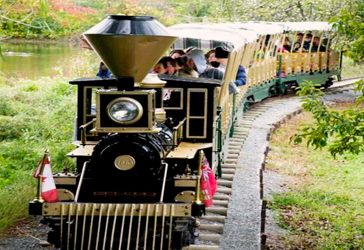 Puddicombe Farms on Highway 8, Niagara. TravelBloggers.ca, Iain Shankland