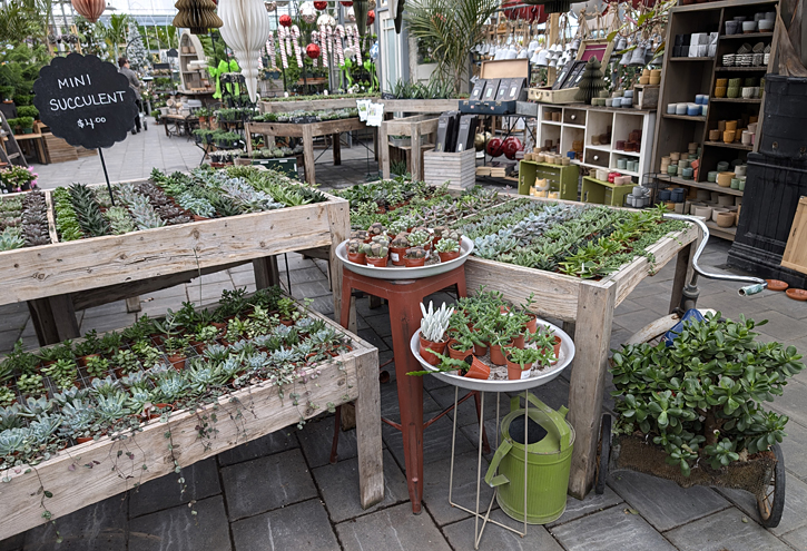 The Watering Can on Highway 8, Niagara. TravelBloggers.ca, Iain Shankland