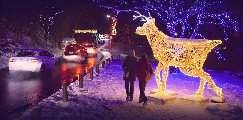 Niagara Falls - light festival, TravelBloggers.ca, Iain Shankland, Gail Shankland