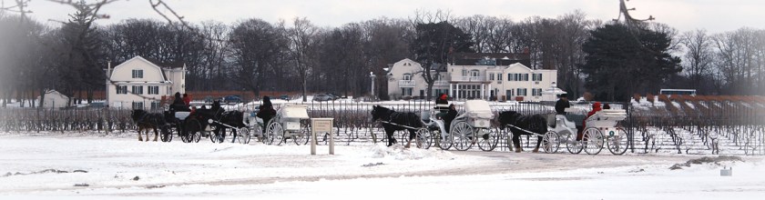 Niagara Falls - Niagara Icewine Festival, TravelBloggers.ca, Iain Shankland, Gail Shankland, NOTL, Peller Estates Winery