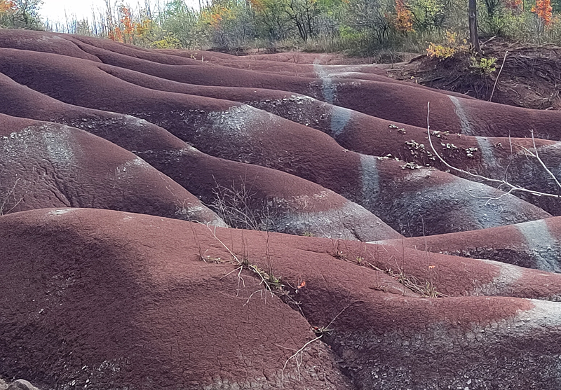 Liberty Inn Nordic Spa Hotel Caledon Review, staycation, Cheltenham Badlands, TravelBloggers.ca, Iain Shankland, Gail Shankland