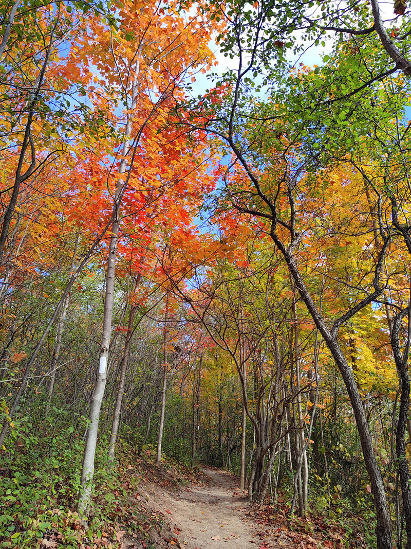 Liberty Inn Nordic Spa Hotel Caledon Review, staycation, Cheltenham Badlands, TravelBloggers.ca, Iain Shankland, Gail Shankland