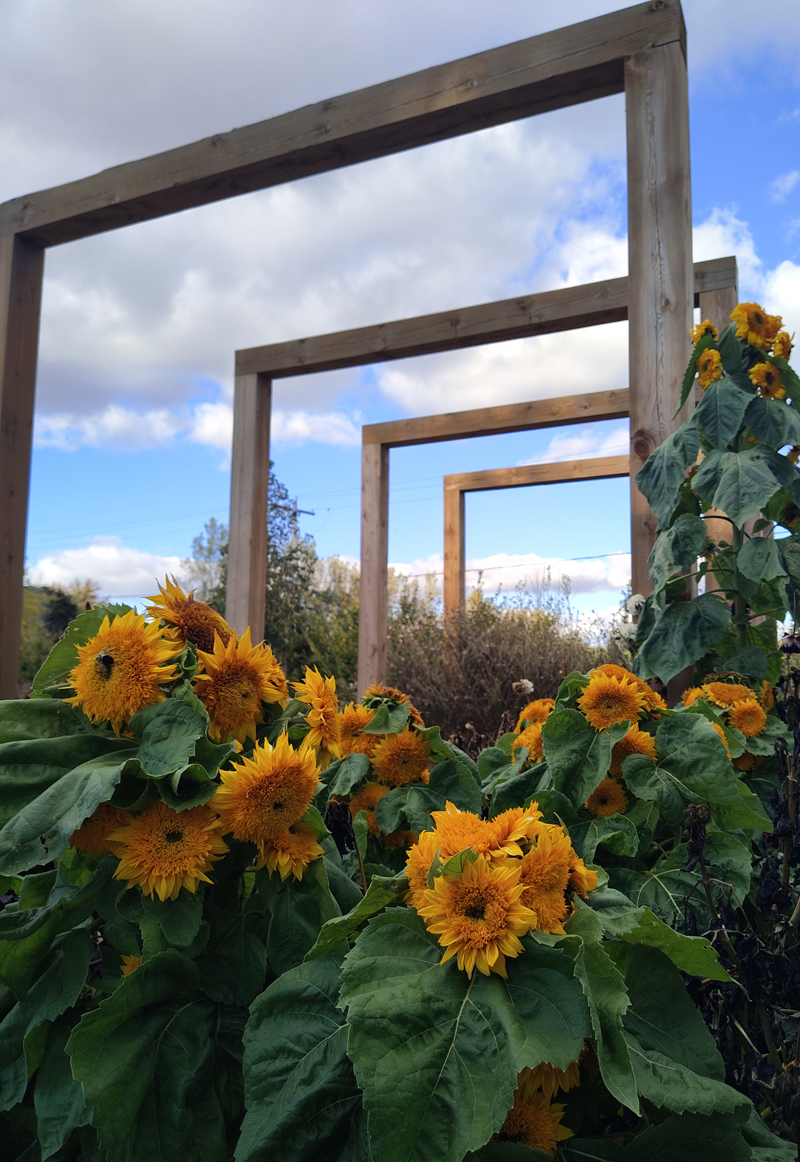 Liberty Inn Nordic Spa, Private Nordic Spa Ontario, Caledon, Staycation